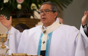 Cardenal Luis José Rueda Aparicio. Crédito: Eduardo Berdejo