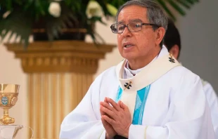 Cardenal Luis José Rueda Aparicio. Crédito: Eduardo Berdejo