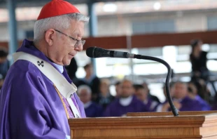 Cardenal Martínez Flores Crédito: Conferencia Episcopal del Paraguay