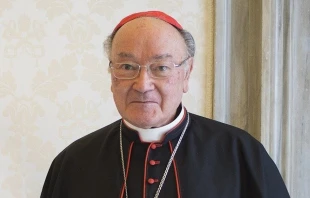 Cardenal Renato Raffaele Martino Crédito: Vatican Media