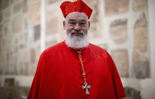 Cardenal Dominique Mathiue, Arzobispo de Teherán (Irán). Crédito: Daniel Ibáñez / EWTN News.