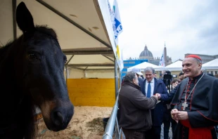 El Cardenal Mauro Gambetti bendice a los animales en la festividad de San Antonio Abad Crédito: Daniel Ibáñez/ ACI Prensa