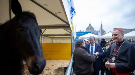El Cardenal Mauro Gambetti bendice a los animales en la festividad de San Antonio Abad