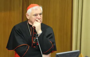 Cardenal Gerhard Müller Crédito: Catholic News Agency - ACI Prensa