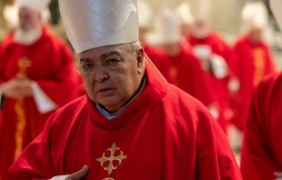 Cardenal Orani Tempesta, Arzobispo de Río de Janeiro (Brasil). Crédito: Daniel Ibáñez / EWTN News.