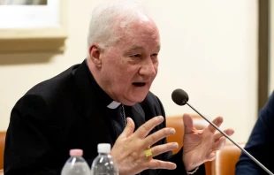 El Vaticano responde a Francia tras sentencia civil contra el Cardenal Ouellet Crédito: Daniel Ibáñez / ACI Prensa