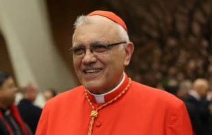 Cardenal Baltazar Porras, Arzobispo Emérito de Caracas (Venezuela). Crédito: Daniel Ibañez / EWTN Vatican.