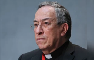 Cardenal Oscar Andrés Rodtíguez Maradiaga. Crédito: Daniel Ibáñez / EWTN News.
