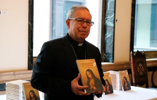 El Cardenal Luis José Rueda presenta el libro “Peregrinos de la esperanza con María”. Crédito: Arquidiócesis de Bogotá.