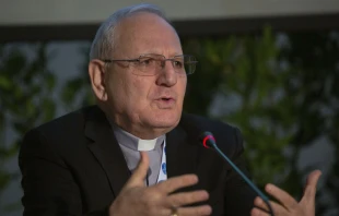 Cardenal Louis Sako, Patriarca de Bagdad (Irak). Crédito: Daniel Ibáñez / EWTN News.