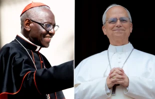 El Cardenal Robert Sarah y el Papa León XIV. Crédito: Daniel Ibáñez / EWTN News.