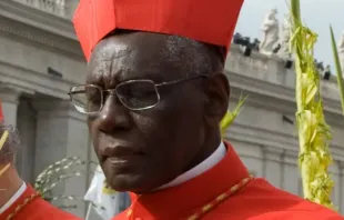 Cardenal Robert Sarah anima a obispos de África a defender la fe católica en el Sínodo Crédito: Sabrina Fusco / ACI Prensa