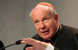 Cardenal Christoph Schonborn, Arzobispo de Viena (Austria). Crédito: Daniel Ibáñez / EWTN News