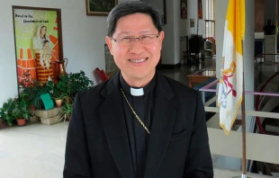 Cardenal Luis Antonio Tagle, Proprefecto del Dicasterio para la Evangelización en el Vaticano. Crédito: Alan Holdren / ACI Prensa.
