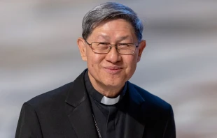 Cardenal Luis Antonio Tagle. Crédito: Daniel Ibáñez / EWTN News.