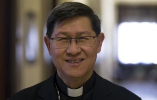 Cardenal Luis Antonio Tagle, Pro-prefecto del Dicasterio para la Evangelización Crédito: Daniel Ibáñez / EWTN News.