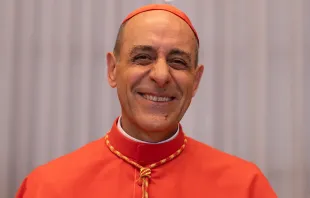 El nuevo Cardenal Víctor "Tucho" Fernández Crédito: Daniel Ibáñez/ACI Prensa