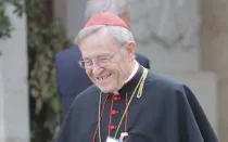 Cardenal alemán Walter Kasper habla sobre el papel de los cardenales en la Iglesia Católica