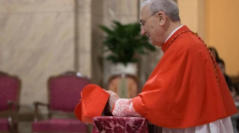 Cardenal Mario Zenari.