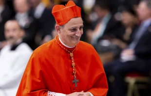 Cardenal Matteo Zuppi, enviado del Papa Francisco a Rusia. Crédito: Daniel Ibáñez / EWTN News