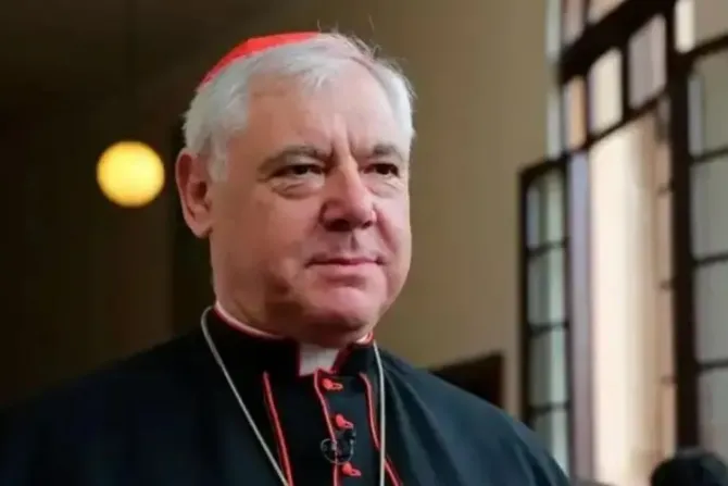 Cardenal Müller llama “cobardes” a obispos alemanes que promueven falsas ideologías 