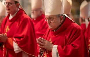 Cardenal Raymond Burke Crédito: Daniel Ibáñez - EWTN News