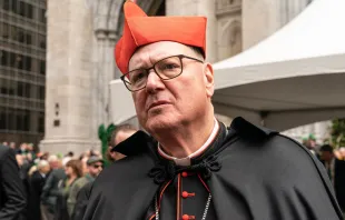 El Cardenal Timothy Dolan en el desfile anual del Día de San Patricio en la 5ª Avenida en Nueva York el 17 de marzo de 2023. Crédito: lev radin - Shutterstock
