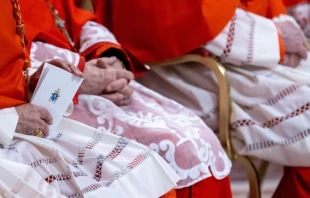 Cardenales siguen la ceremonia durante el consistorio público ordinario para la creación de nuevos cardenales en la Basílica de San Pedro, Ciudad del Vaticano, 7 de diciembre de 2024. Crédito: Daniel Ibáñez/EWTN.