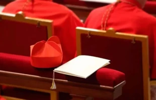 Foto referencial Crédito: Daniel Ibáñez / ACI Prensa