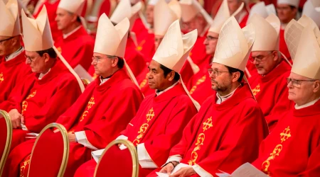 Cardenales durante la sexta misa de los Novendiales celebrada en la Basílica de San Pedro.