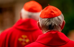Cardenales participan en la quinta Misa de Novendiales del Papa Francisco el 30 de abril de 2025, en la Basílica de San Pedro del Vaticano. Crédito: Daniel Ibáñez / EWTN News.