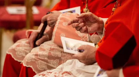Cardenales durante el consistorio del 5 de octubre de 2019