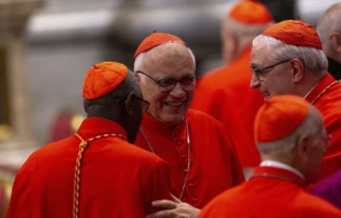 Cardenales de la Iglesia Católica en el consistorio de 2019. Crédito: Daniel Ibáñez / EWTN News.