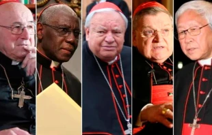 De izquierda a derecha: Cardenal Walter Brandmüller, Cardenal Robert Sarah, Cardenal Juan Sandoval Íñiguez, Cardenal Raymond Burke, Cardenal Zen Ze-Kiun. Crédito: Bohumil Petrik (CNA); Intermirifica.net; Daniel Ibáñez (CNA)
