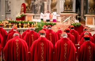 Cardenales durante la misa celebrada por el Cardenal Leonardo Sandri el 30 de abril de 2025. Crédito: Daniel Ibáñez / EWTN News.