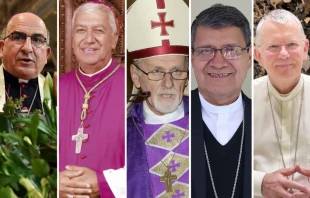 Mons. Fernando Chomali/Mons. Carlos Castillo/Mons. Vicente Bokalic/Mons. Luis Cabrera/Mons. Jaime Spengler. Crédito: Arzobispado de Santiago/Arzobispado de Lima/Universidad Católica de Santiago del Estero/Conferencia Episcopal Ecuatoriana/CELAM