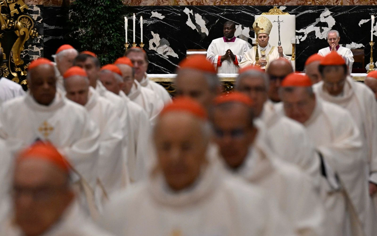 Cardenales participan en la Misa de este 8 de enero presidida por el Papa León XIV.?w=200&h=150