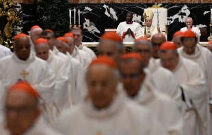 Cardenales participan en la Misa de este 8 de enero presidida por el Papa León XIV. Crédito: Vatican Media