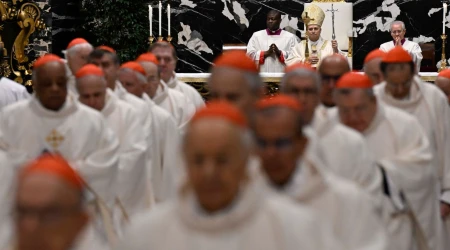 Cardenales participan en la Misa de este 8 de enero presidida por el Papa León XIV