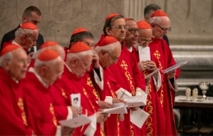 Cardenales durante Misa de los Novendiales en la Basílica de San Pedro, el lunes 28 de abril de 2025. Crédito: Daniel Ibáñez / EWTN News.