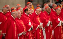Fotografía de los cardenales durante la Misa de Novendiales el 1 de mayo