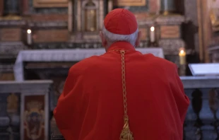 Imagen referencial de un cardenal. Crédito: Daniel Ibañez - ACI Prensa