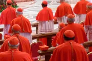 Estas son las últimas novedades del Consejo de Cardenales para la reforma de la Curia