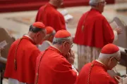 Ucrania y el Sínodo entre temas abordados en reunión del Consejo de Cardenales con el Papa