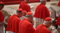 Imagen referencial de cardenales. Crédito: ACI Prensa
