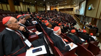 Los cardenales se reúnen con el Papa León XIV en la tercera sesión del consistorio el 8 de enero de 2025 en el Vaticano.