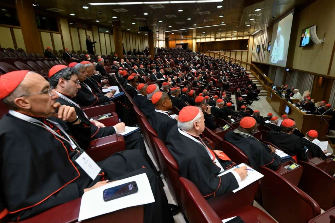 cardenales se reúnen con el Papa León XIV