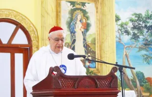 Cardenal José Luis Lacunza. Crédito: Diócesis de David
