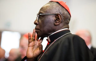 Cardenal Robert Sarah, prefecto emérito del Dicasterio para el Culto Divino y la Disciplina de los Sacramentos. Crédito: PIGAMA - Shutterstock