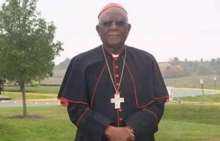 Cardenal Christian Tumi / Cru00e9dito: Dominio pu00fablico 